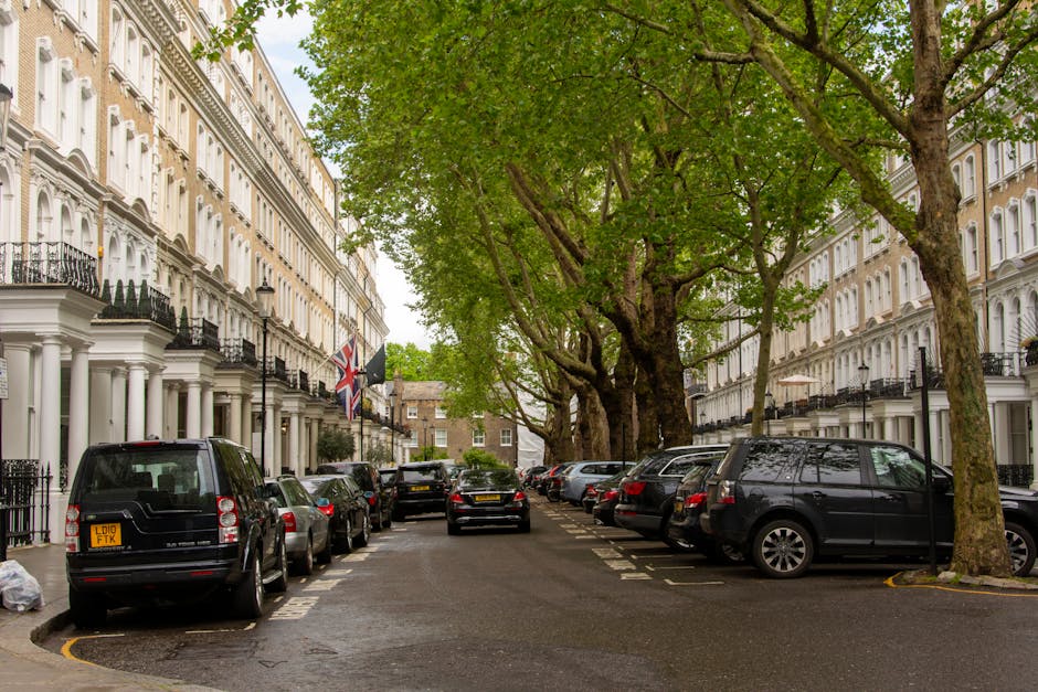 A residential street scene showing white terraced houses with ornate facades, some featuring decorative balconies and black iron railings. The pavement is lined with large, mature trees with expansive green canopies extending over the street. Parked along the road are various vehicles, including a black van at the forefront with a yellow registration plate, and several cars behind, all aligned neatly along the curb. In the background, a black van is seen partially loading or unloading near the entrance of one of the houses. The scene is well-lit with natural daylight, and the overall environment suggests an urban area suitable for home relocation and furniture transport, with clear access for removal services such as those provided by Man and Van Bloomsbury. The image reflects typical parking restrictions and the importance of adherence to Camden Council rules for removals parking when planning a house move in Bloomsbury.